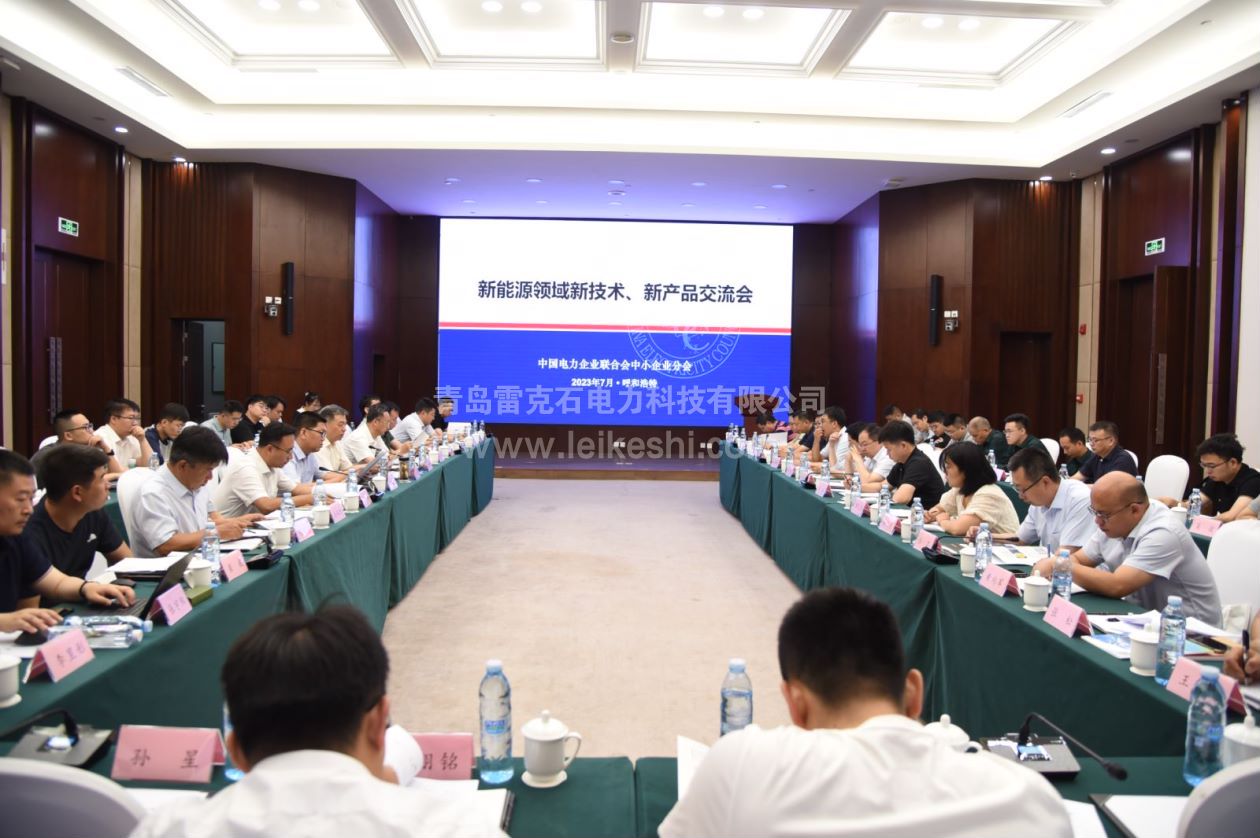 雷克石電力科技參加新能源領(lǐng)域新技術(shù)、新產(chǎn)品交流會取得圓滿成功